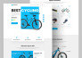 build alidropship dropshipping store and woocommerce store